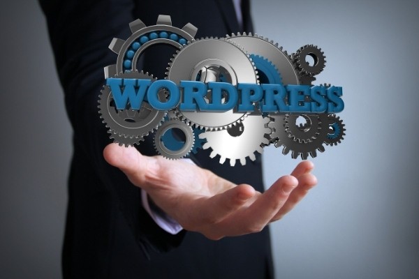 Web Development with wordpress