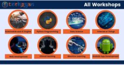 All Workshop